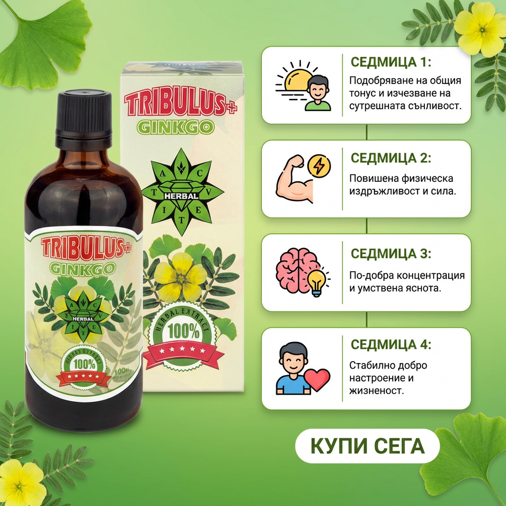 Трибулус Гинко Билоба - Tribulus Ginkgo (100 ml)